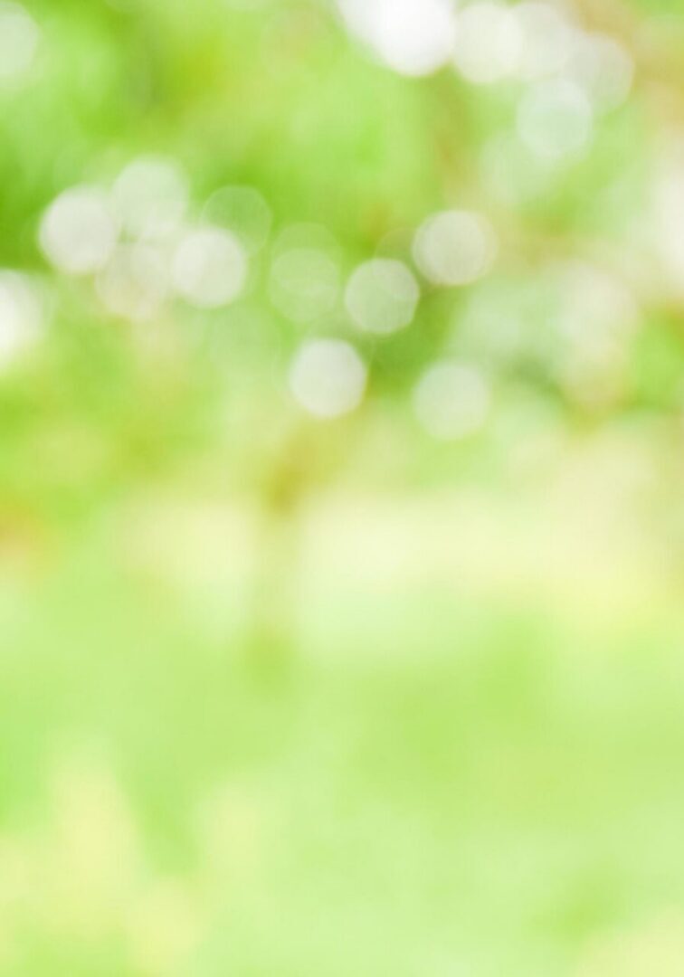 green-freshness-nature-blur-background-concept-free-photo